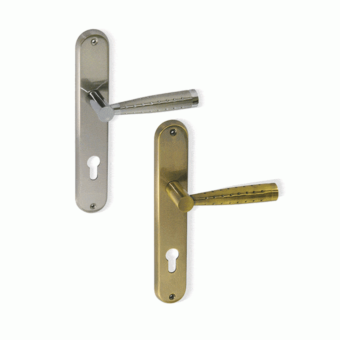 DMA40 זוג ידיות לדלת בניין, עם פלטה, דגם DMA40